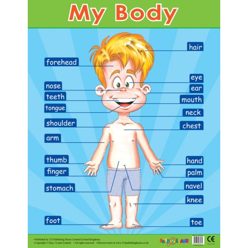 My Body