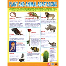 Plants and Animal Adaptions 