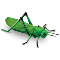 Jumbo Insects, Set of 7