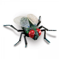 Jumbo Insects, Set of 7