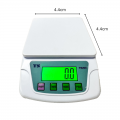 Electronic Compact Scale