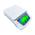 Electronic Compact Scale