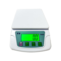 Electronic Compact Scale