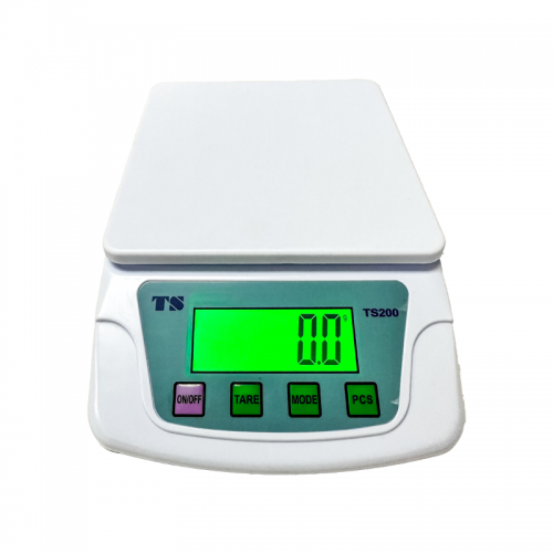 Electronic Compact Scale