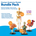 Anatomy Models Bundle