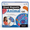 Giant Magnetic Animal Cell