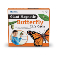 Giant Magnetic Butterfly Life Cycle