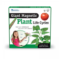 Giant Magnetic Plant Life Cycles