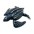 Life Cycle Model of Leatherback Turtle