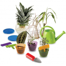 Primary Science Plant and Grow Set 