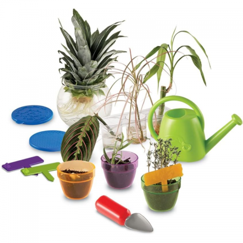 Primary Science Plant and Grow Set 