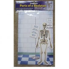 Skeleton Magnetic Tiles