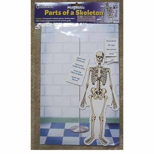 Skeleton Magnetic Tiles