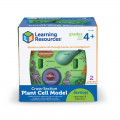 Soft Foam Cross-Section Plant Cell Model