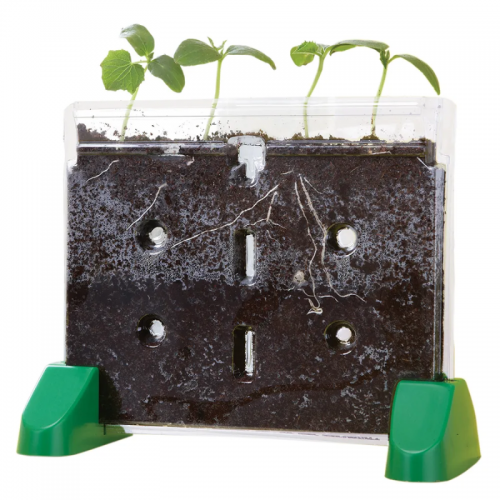 Sprout & Grow Window™