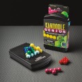 Kanoodle Genius Game