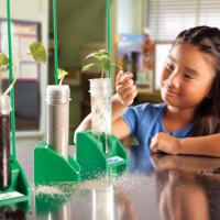 Hydroponics Lab: Growing Plants