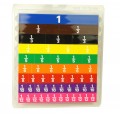 Plastic Fraction Tiles Set of 51