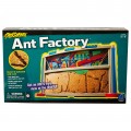 GeoSafari Ant Factory